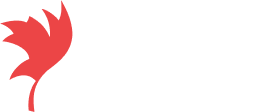 LMG Finance